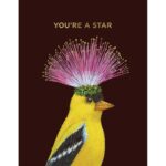 You're A Star