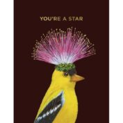 You're A Star