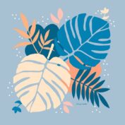 Monstera