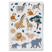 Safari