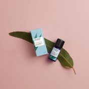 Eucalyptus