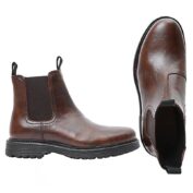 New Bertil