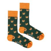 Fossiled Fox - 41-46