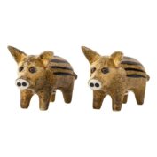 Wild Boar