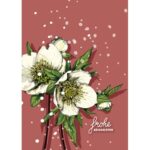 JULEROSE Frohe Weihnachten