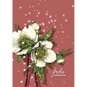 JULEROSE Frohe Weihnachten