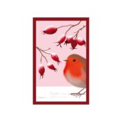 Rotkehlchen mit Hagebutten