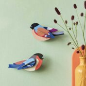 Finches 2er Set