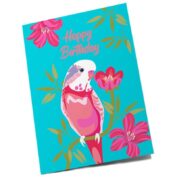 Budgie Happy Birthday