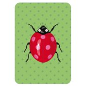Ladybug