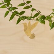 Plant Animal Hummingbird