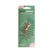 Plant Animal Chameleon