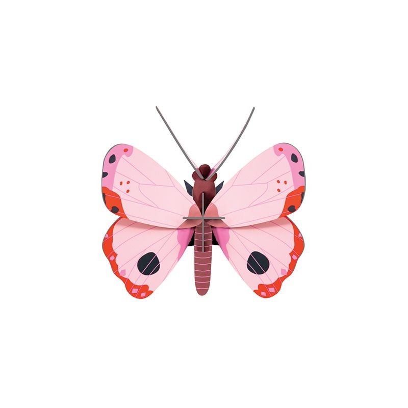Rossora Butterfly