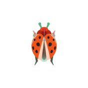 Coccinelle Rouge