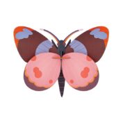 Bellissima Butterfly