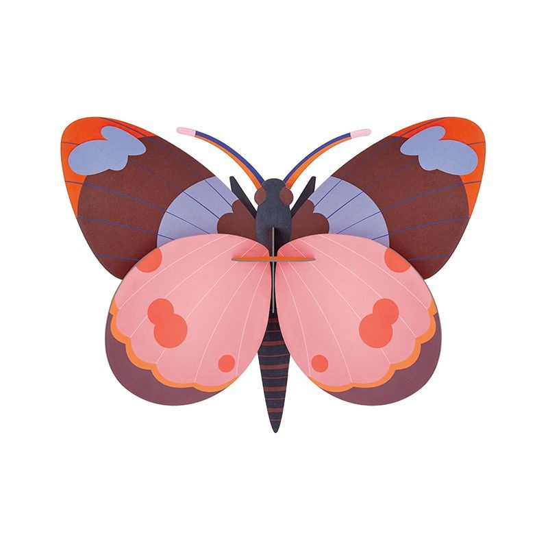 Bellissima Butterfly