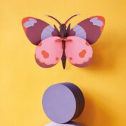 Bellissima Butterfly