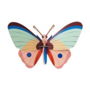 Cattleheart Butterfly