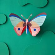 Cattleheart Butterfly