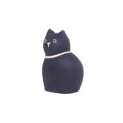 Black Cat Child