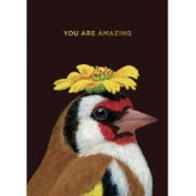 Amazing Goldfinch