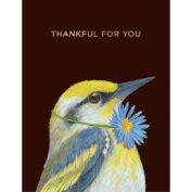 Thankful Warbler