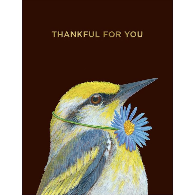Thankful Warbler