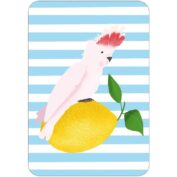 Lemon Cockatoo