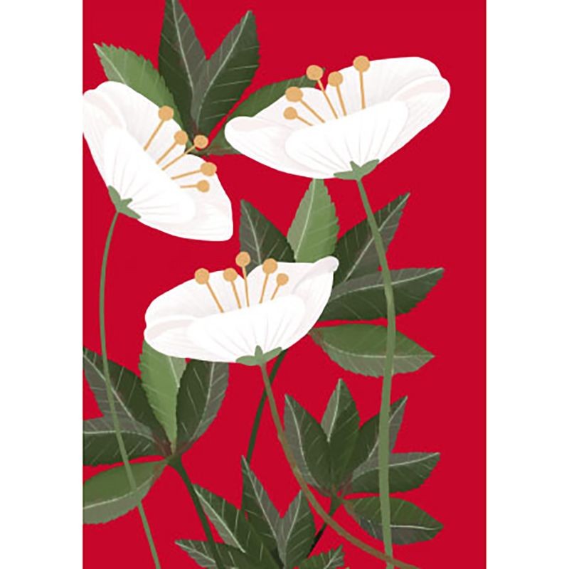 White Flower