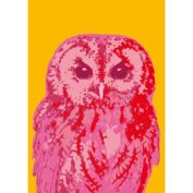 Pink Owl