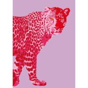 Pink Leopard