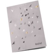 Vogelschwarm Abschied