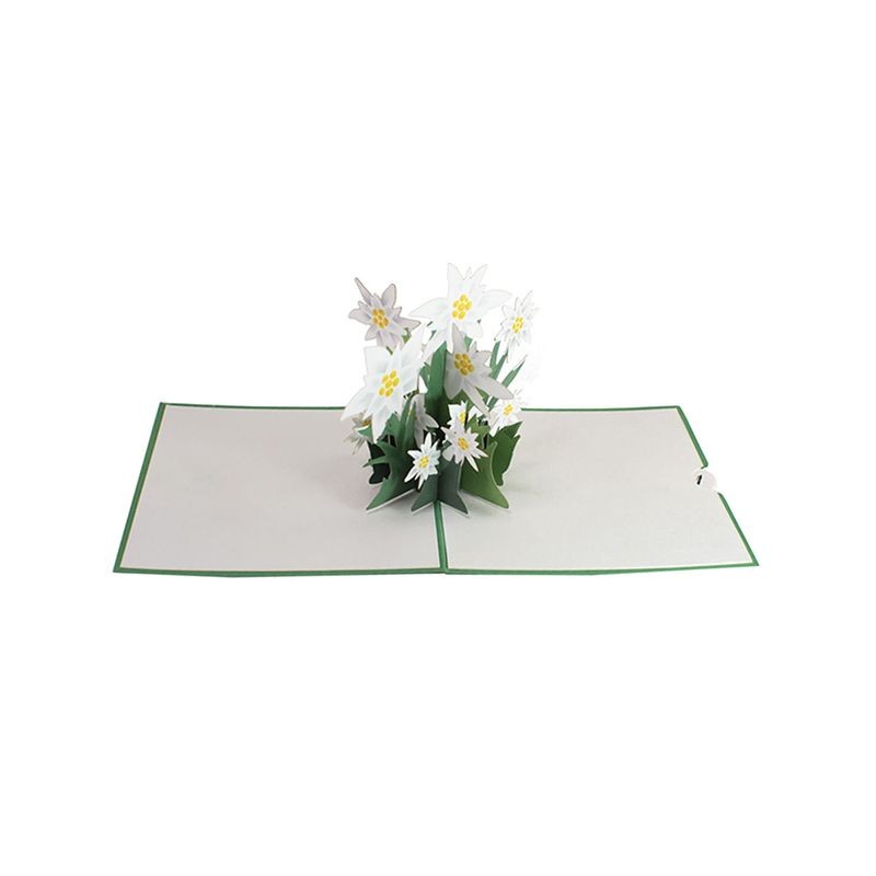 Edelweiss