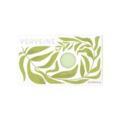 Verveine