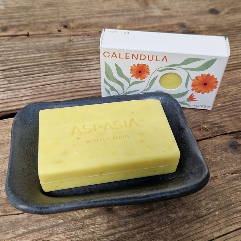 Calendula