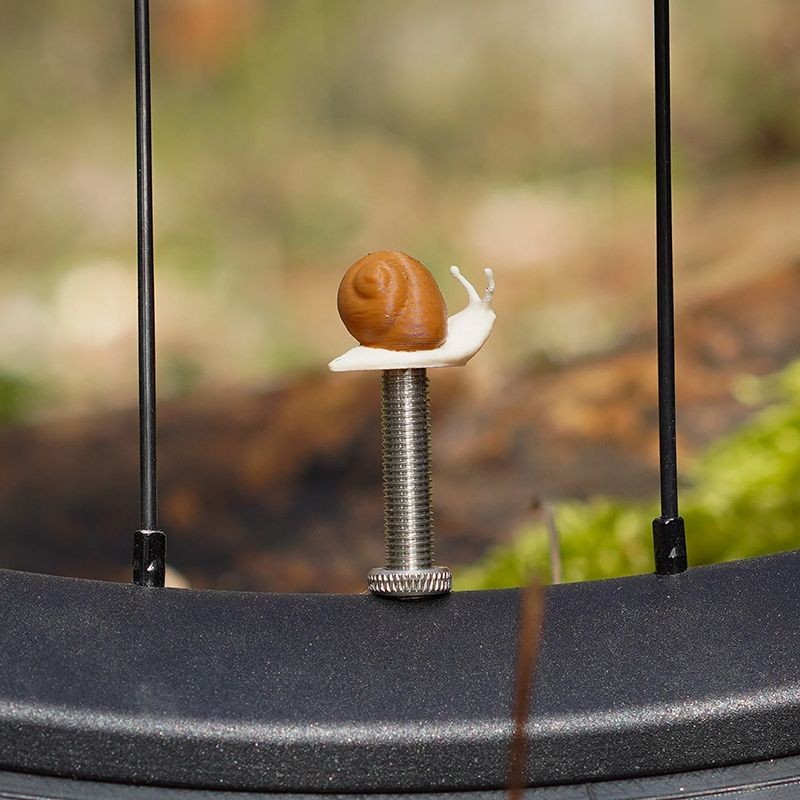 Schnecke