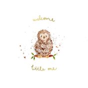 Welcome Little One
