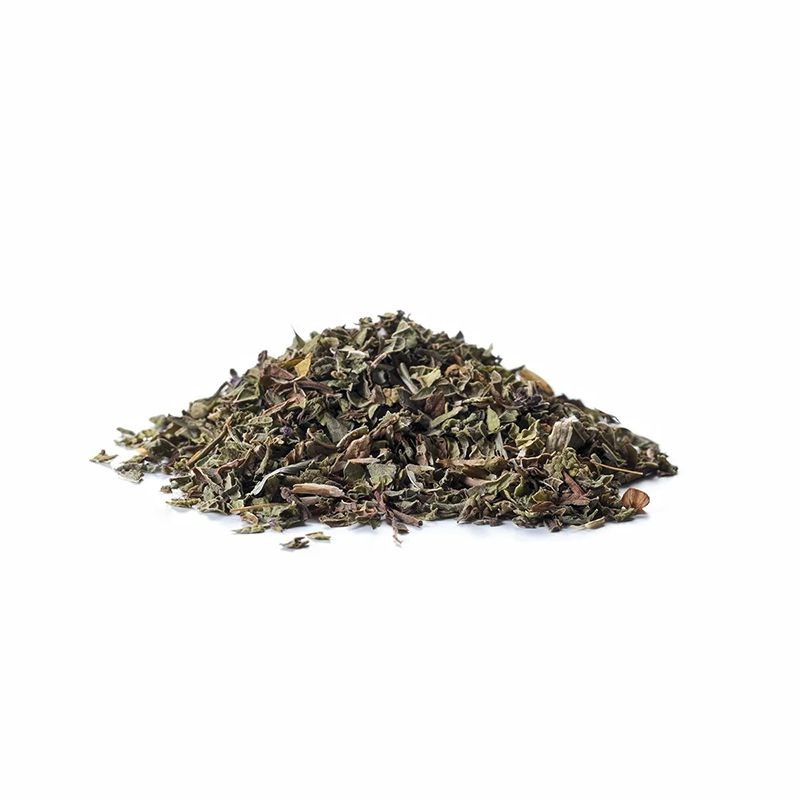 Moroccan Mint