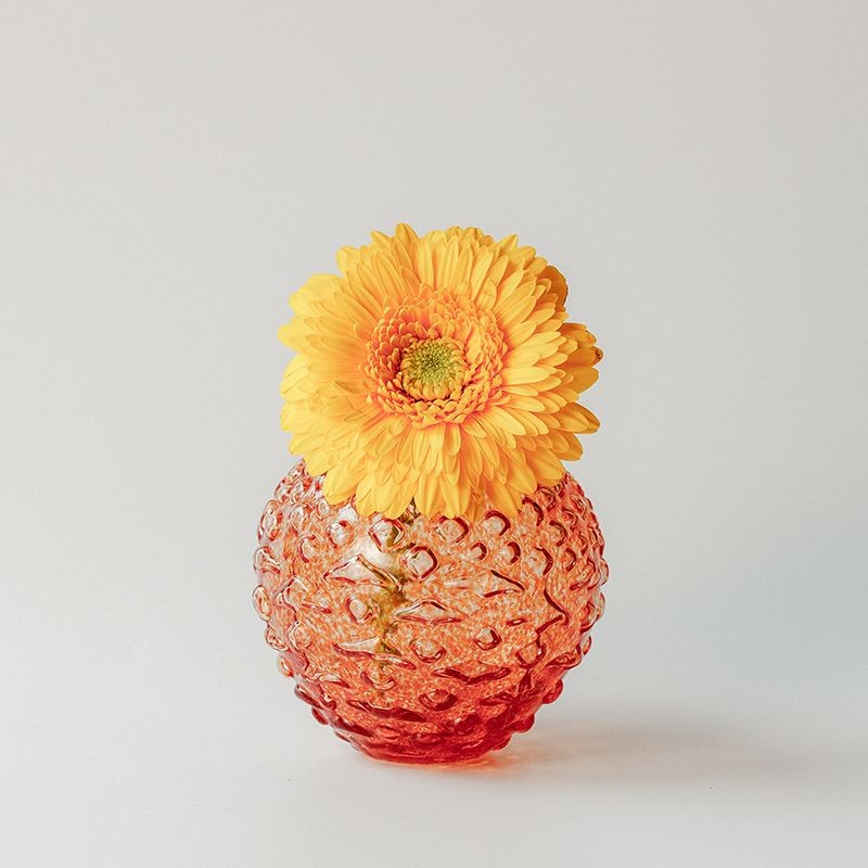 Kotte 248