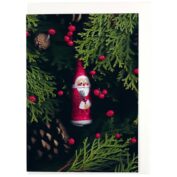 Weihnachtsscans - Samichlaus