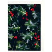 Weihnachtsscans - Stechpalme
