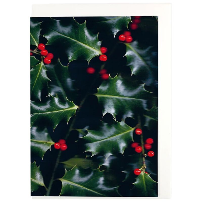 Weihnachtsscans - Stechpalme